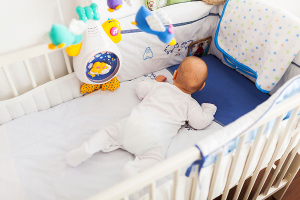 View With Flexi Holder With Flexi Holder baby camera holder
